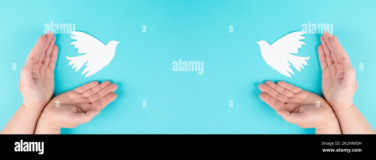 Tenant une colombe blanche dans les mains, symbole de paix, pigeon découpé en papier, espace de copie pour le texte, fond bleu Banque D'Images
