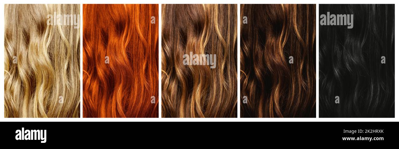 Ensemble de différents échantillons de couleur naturelle des cheveux. Banque D'Images