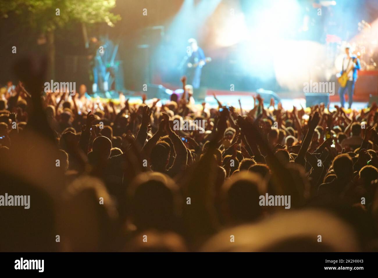 Tout est question de fans.Photo de fans profitant d'un festival de musique en plein air. Banque D'Images