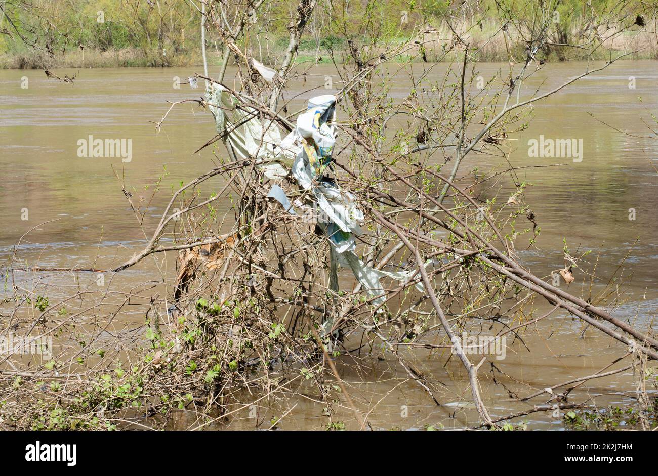 La rivière Moselle inondé parties de la ville Trèves, changement climatique, Allemagne, arbres debout dans l'eau, la question de l'environnement métallique, les fortes pluies causent l'augmentation des niveaux d'eau, crasseux Banque D'Images