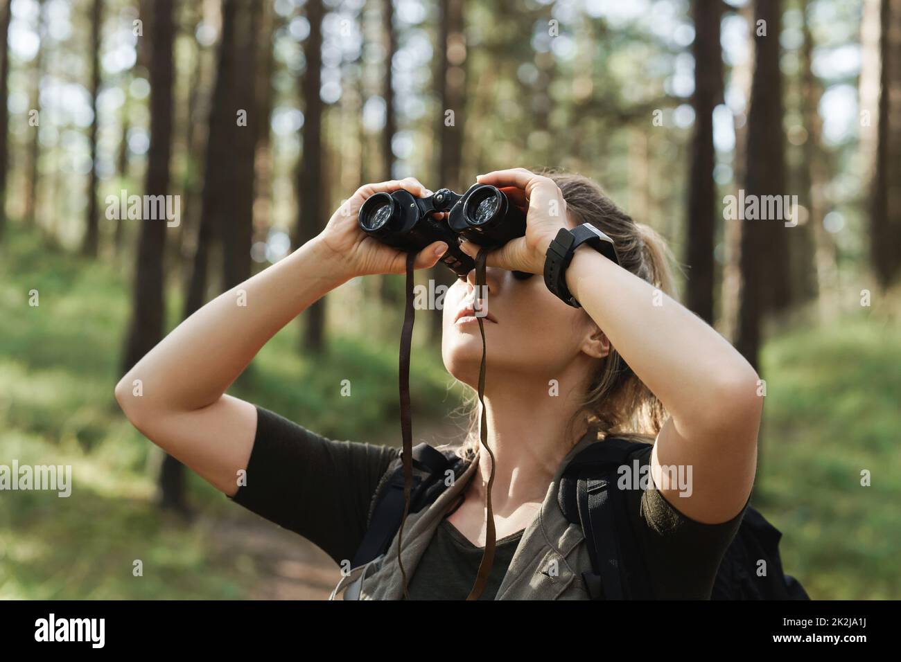 La randonneur femelle utilise des jumelles pour observer les oiseaux dans la forêt verte Banque D'Images