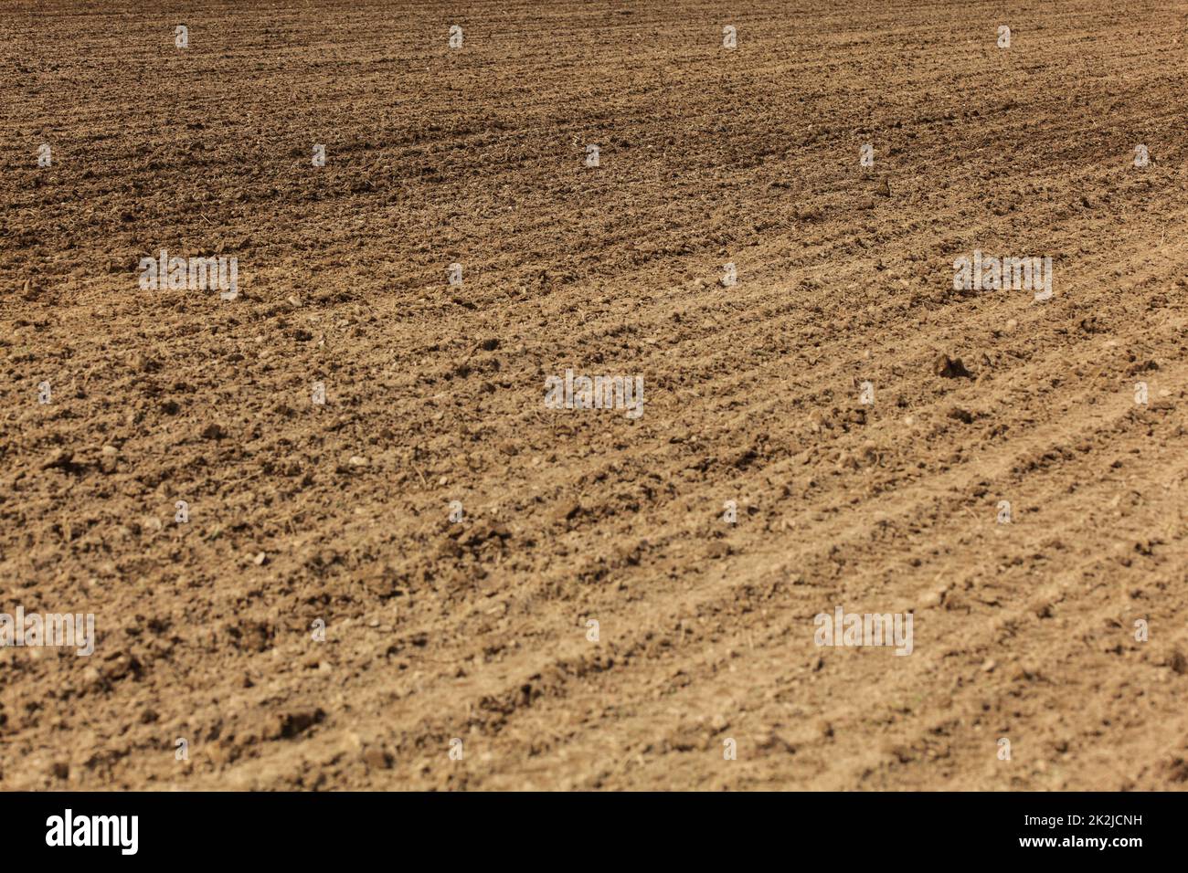 Champ fraîchement labourés, lignes de charrue visibles dans la masse. Résumé Contexte L'agriculture. Banque D'Images