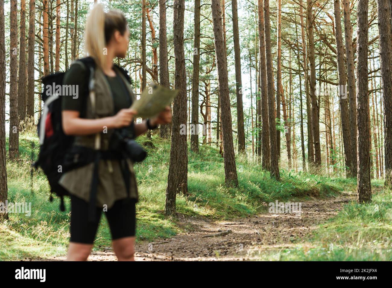 Femme randonneur avec grand sac à dos utilisant la carte pour l'orientation dans la forêt. Concentrez-vous sur les arbres. Banque D'Images