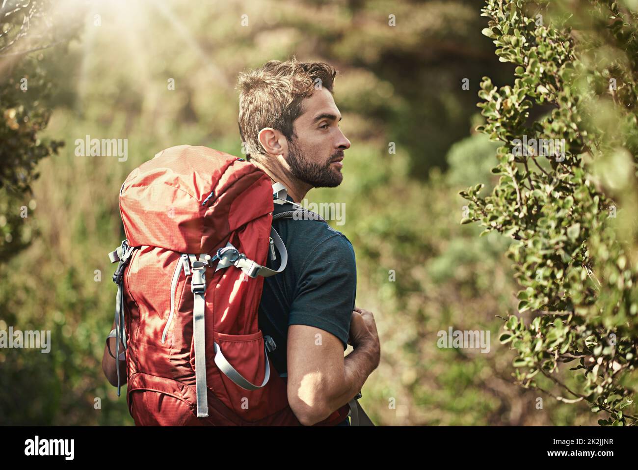 Direction la nature. Photo d'un jeune homme en randonnée le long d'un sentier naturel. Banque D'Images