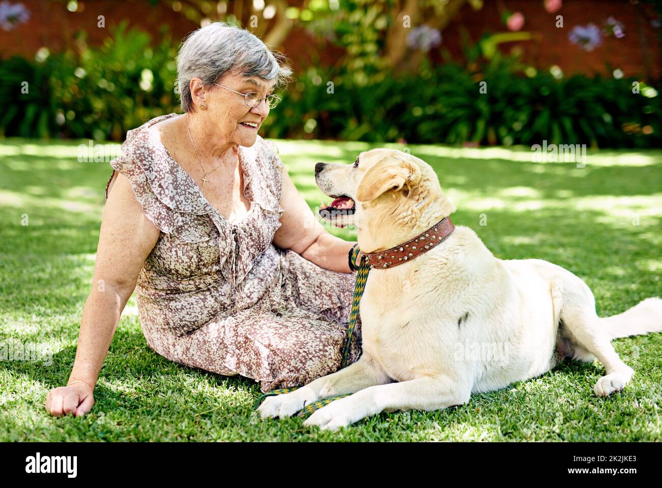 HES a été mon compagnon pendant des années. Photo d'une femme âgée assise à l'extérieur avec son chien. Banque D'Images