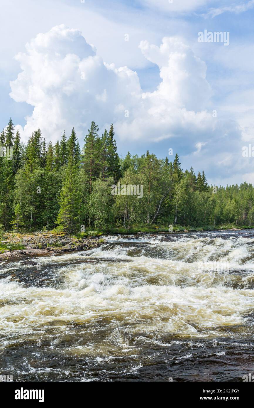 L'eau se précipiter dans une rivière dans les bois Banque D'Images
