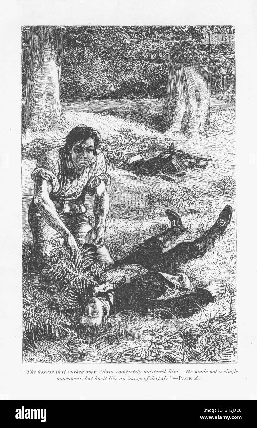 Adam Bede, ayant obtenu le meilleur d'Arthur Donnithorne dans un combat, est horrifié de voir son rival mentir inconcious. 'Adam Bede' de George Eliot, première publication en 1859. Illustration de William Small (1843-1929) d'une édition publiée en c1885 Banque D'Images
