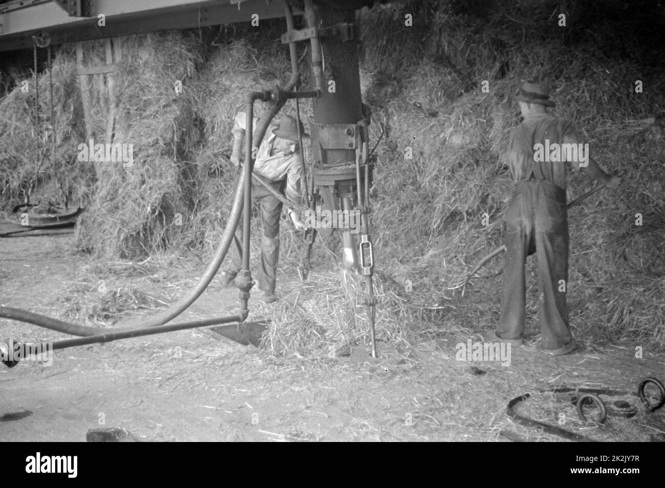 La paille en balles pour être utilisé pour la fabrication de carton paille à Container Corporation d'Amérique centrale, Circleville, Ohio. 1938 Date de l'été. Banque D'Images