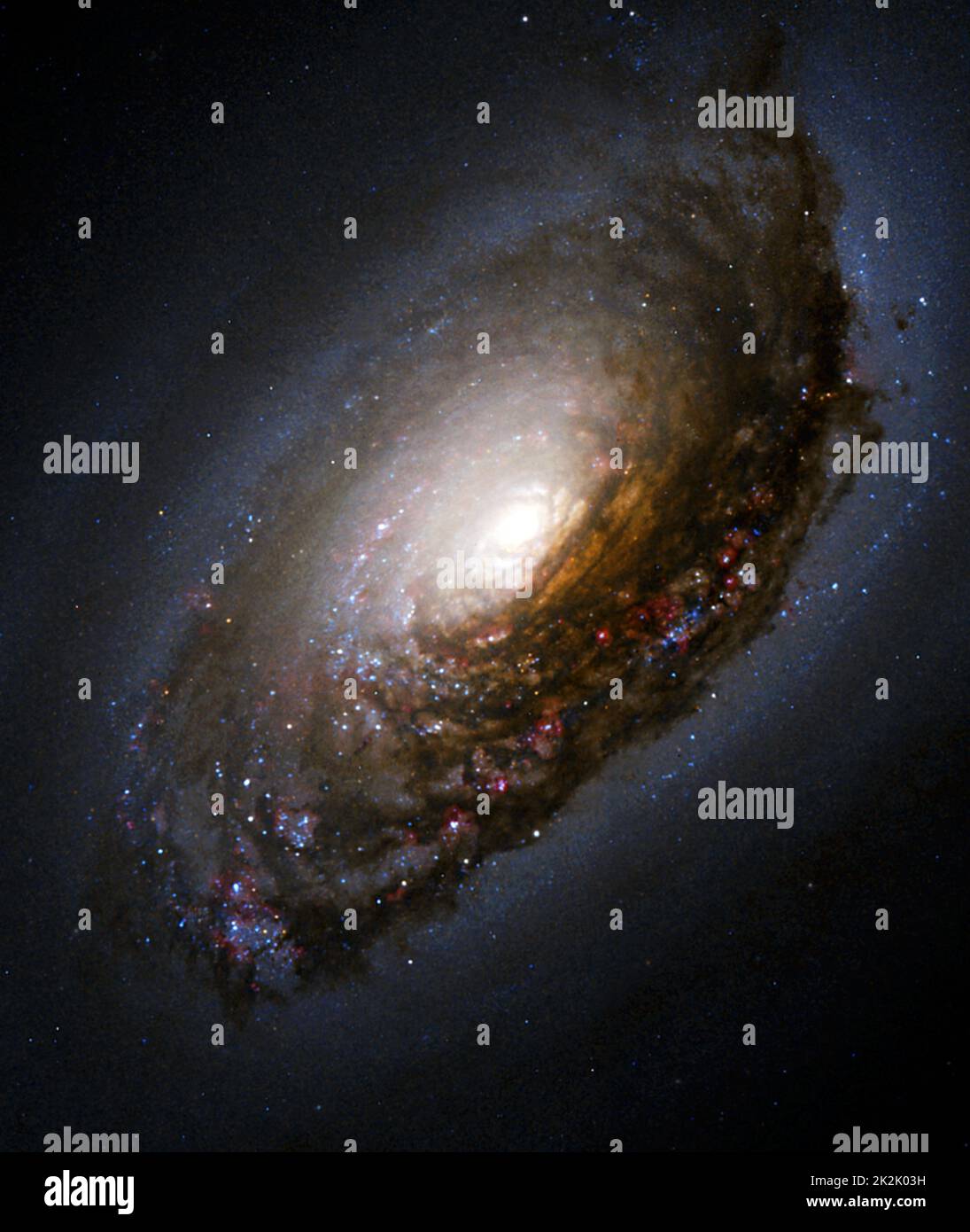 Bande anti-poussière autour du noyau de 'Black Eye Galaxy' M64. Une collision de deux galaxies a laissé un système d'étoiles fusionné avec une apparence inhabituelle ainsi que des mouvements internes bizarres. Messier 64 (M64) a une bande sombre spectaculaire d'absorption de poussière devant le noyau lumineux de la galaxie, donnant naissance à ses surnoms de la galaxie 'œil noir' ou 'mal Eye'. Banque D'Images