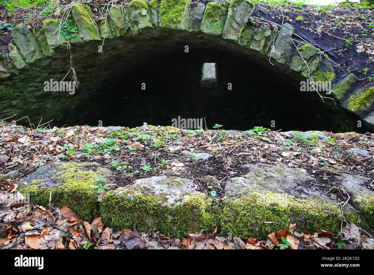 Les ruines du château de Wildenberg sont un point de vue dans la municipalité de Sulzfeld Banque D'Images