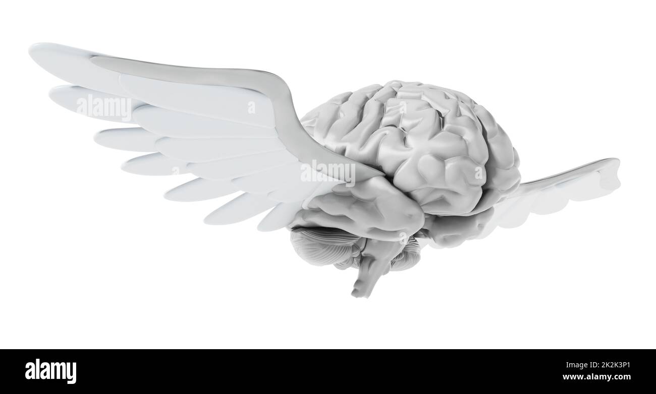 Cerveau volant avec ailes blanches. 3D illustration Banque D'Images