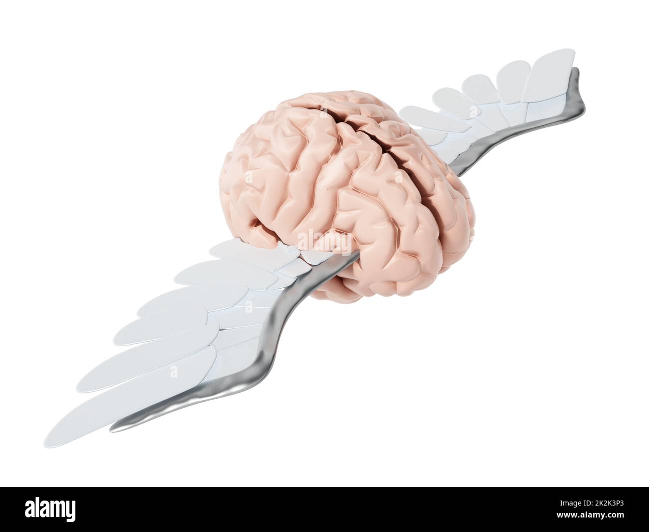 Cerveau volant avec ailes blanches. 3D illustration Banque D'Images