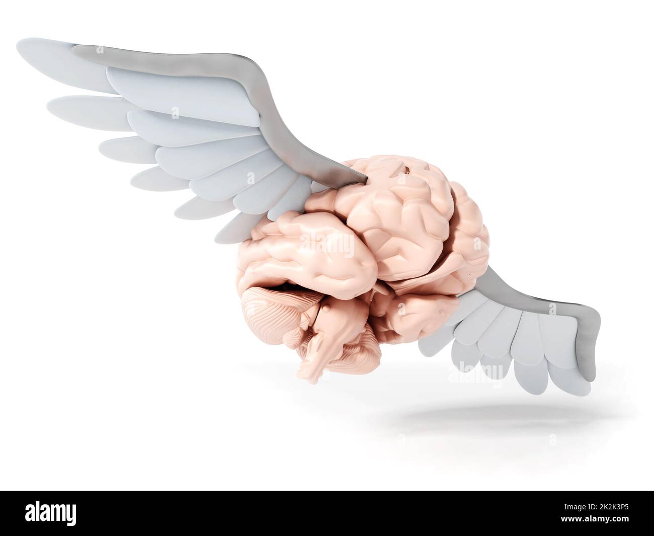 Cerveau volant avec ailes blanches. 3D illustration Banque D'Images
