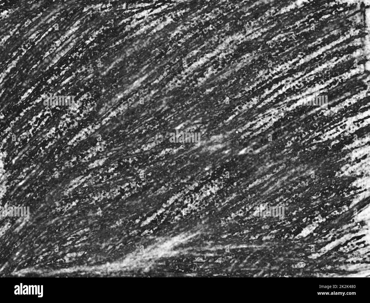 Texture de fond de peinture abstraite pour l'art moderne et contemporain Banque D'Images