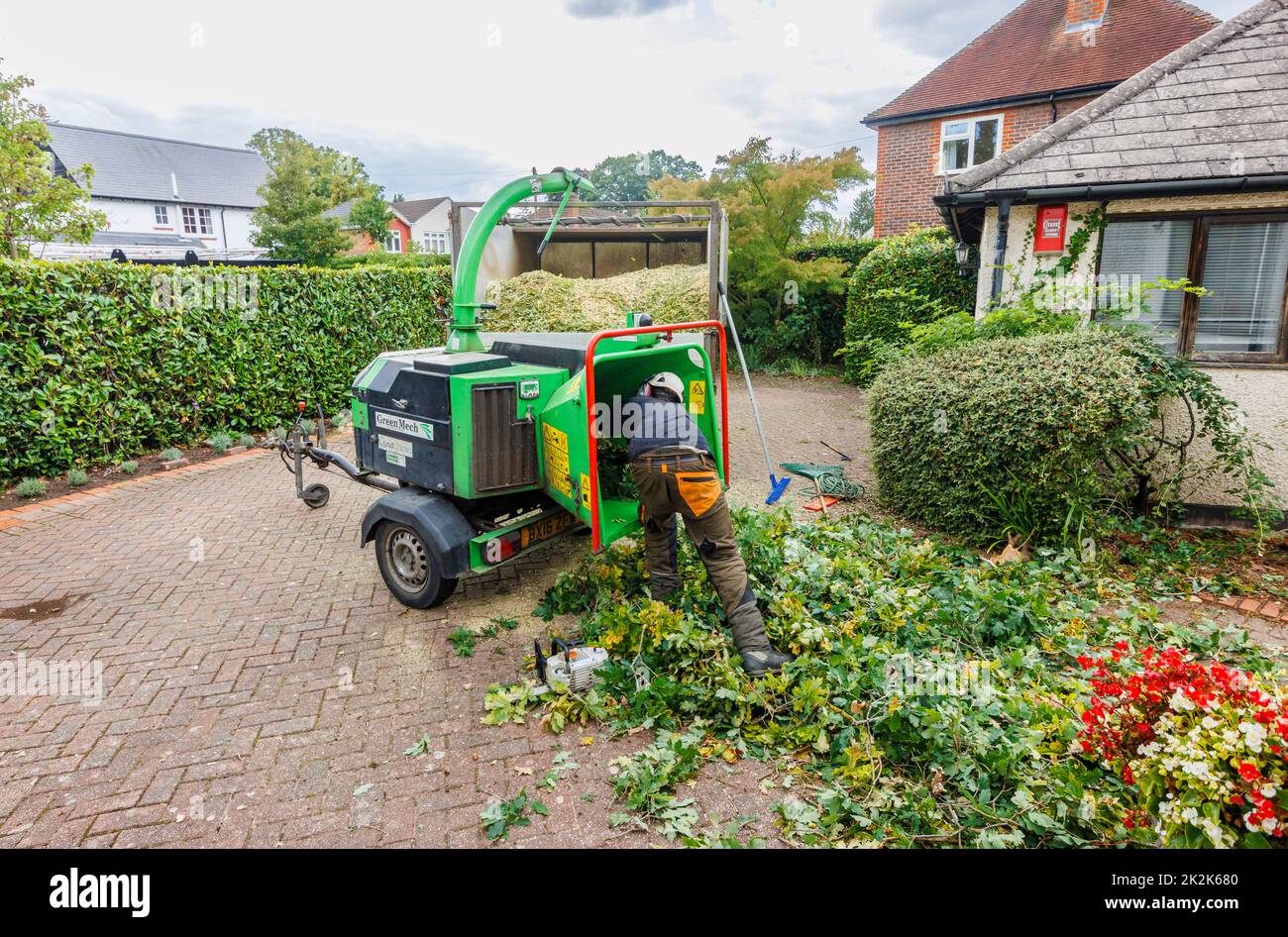 Chargement d'une hespérie commerciale GreenMech Quadchip 160 en exploitation à Surrey, dans le sud-est de l'Angleterre, élimination des garnitures qui faussent un chêne de jardin Banque D'Images