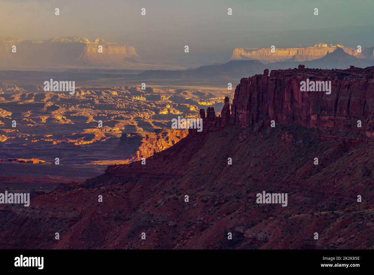 Surplombant le Needles District au lever du soleil depuis Buck Canyon Overlook, Island in the Sky District, Canyolands NP, Utah. Banque D'Images