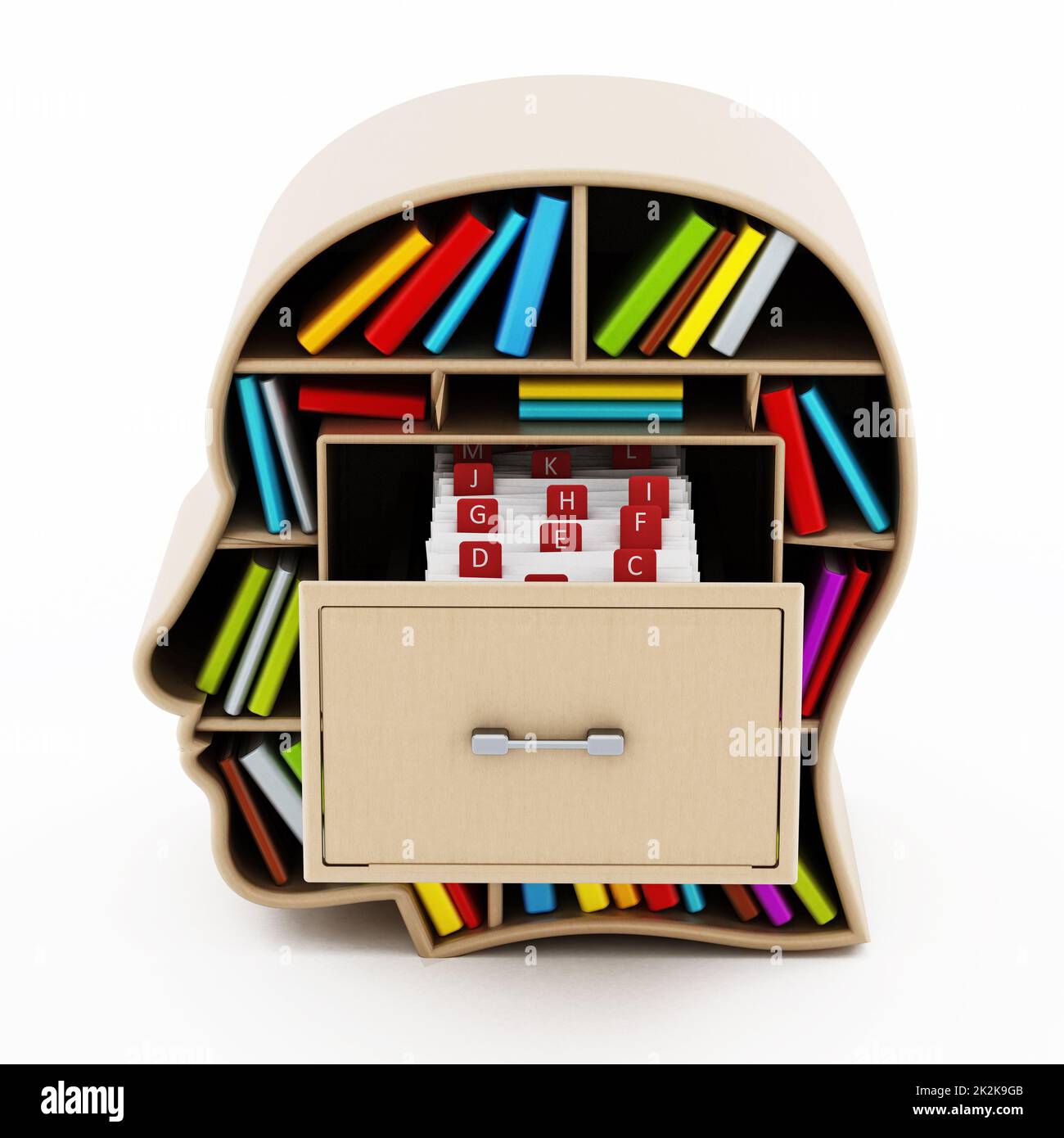 Catalogue de fiches à l'intérieur du tiroir de la bibliothèque de têtes. 3D illustration Banque D'Images