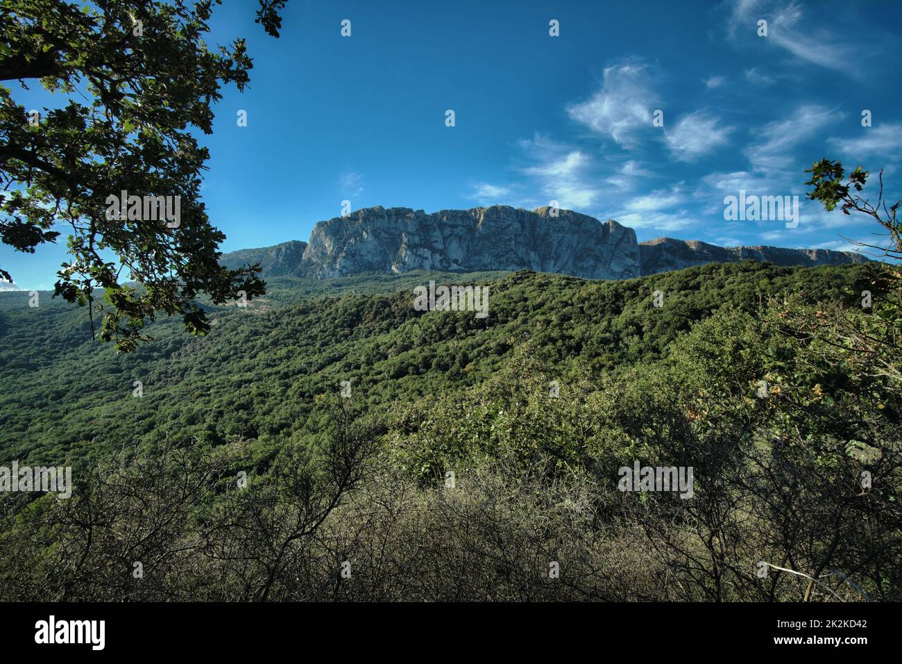 Paysage de Ficuzza Woods et Brusambra Rock en Sicile, Italie Banque D'Images