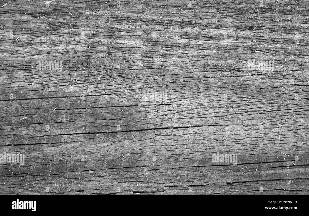 Une texture de bois exposée aux intempéries. Banque D'Images