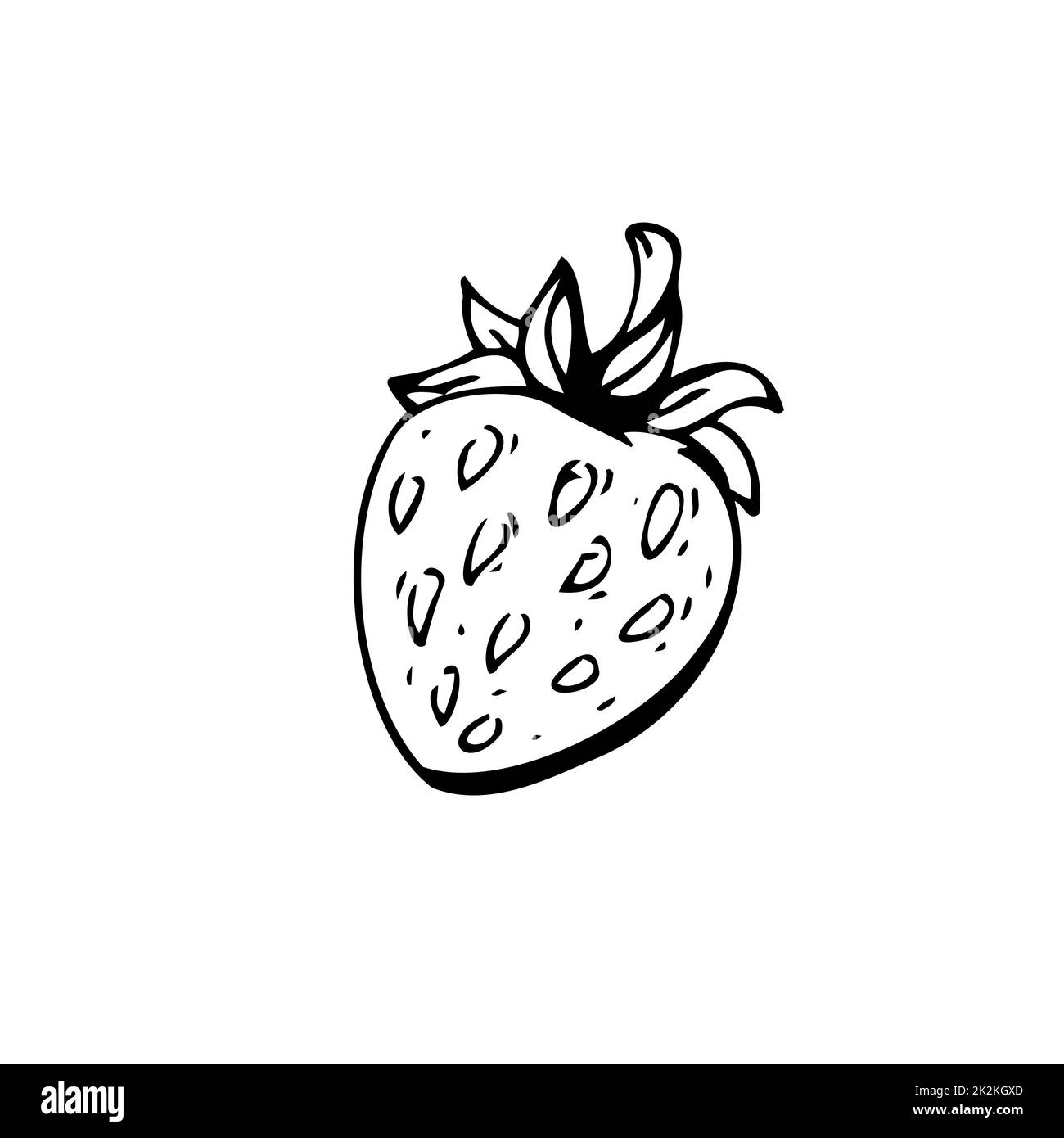 Fraises fines lignes noires sur fond blanc - Vector Banque D'Images