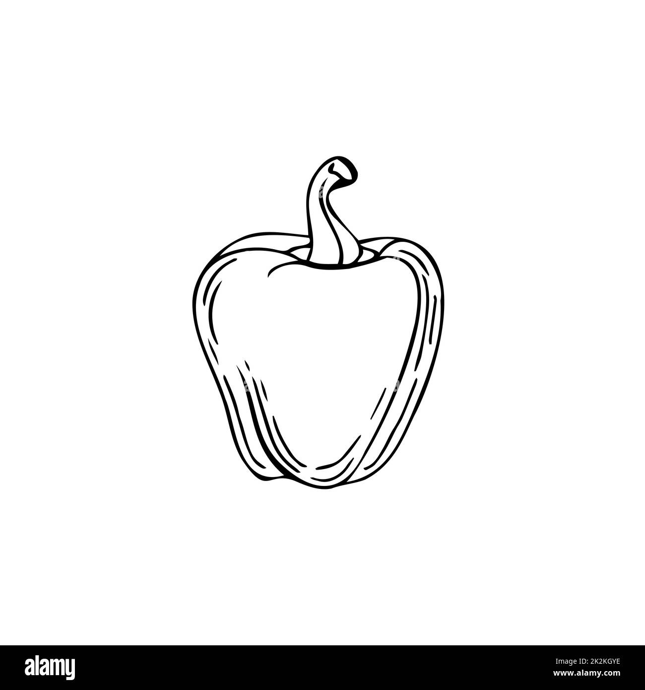 Poivre bulgare fines lignes noires sur fond blanc - Vector Banque D'Images