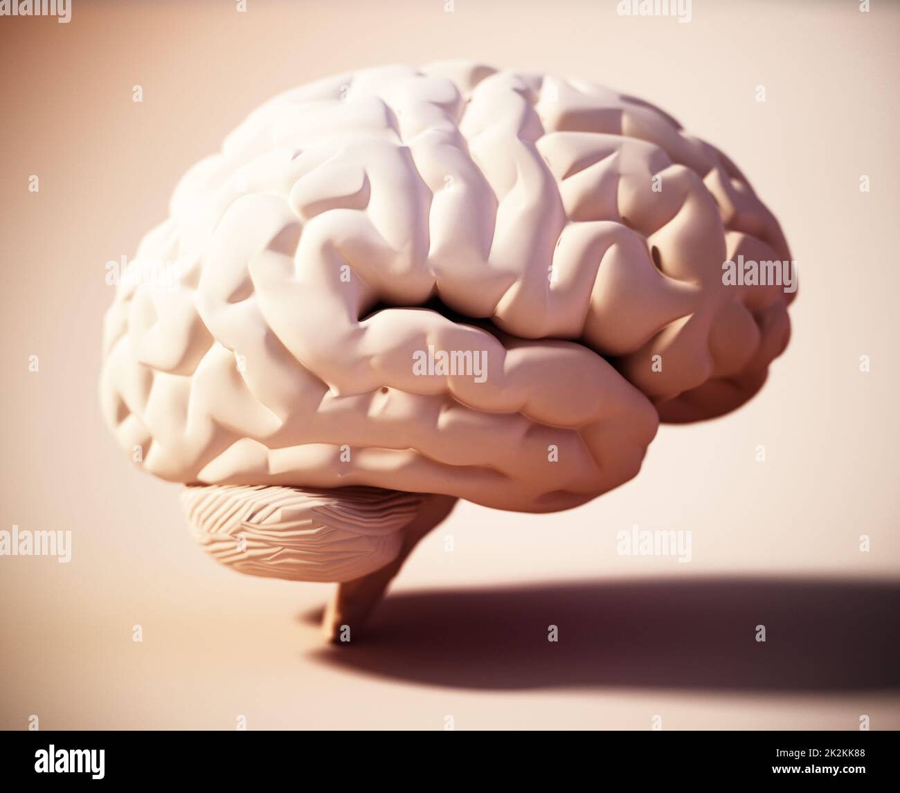 Cerveau humain debout sur un arrière-plan de couleur douce. 3D illustration Banque D'Images
