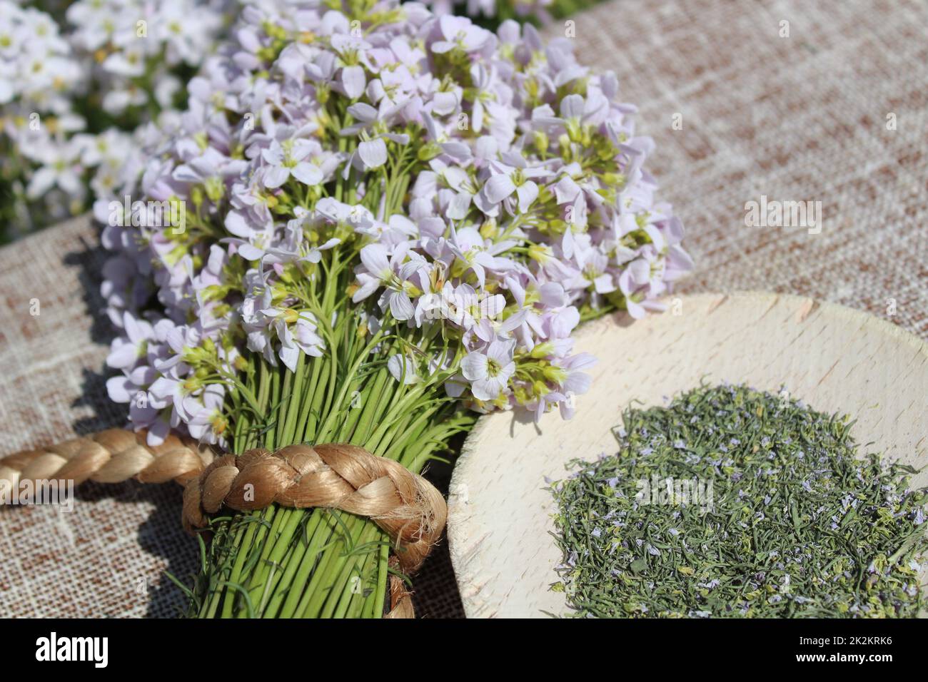 cuckoo fleurs thé et fleurs Banque D'Images