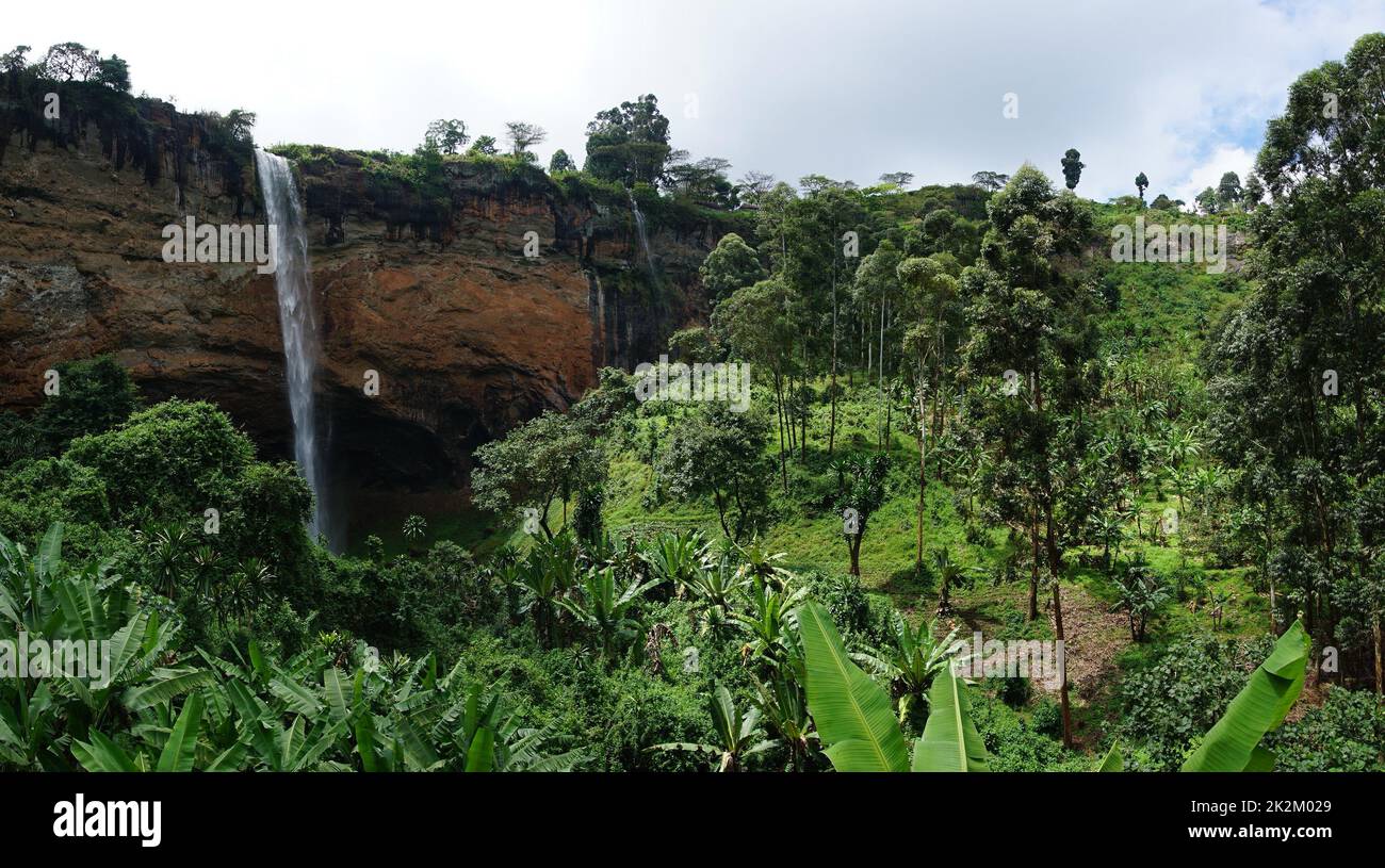 Forêt tropicale luxuriante avec l'une des chutes Sipi en arrière-plan Banque D'Images