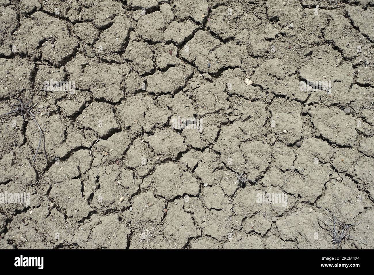 Craquage et fractionnement des sols dus à la soif, à la sécheresse dans le monde, aux sols fissurés et fendus Banque D'Images
