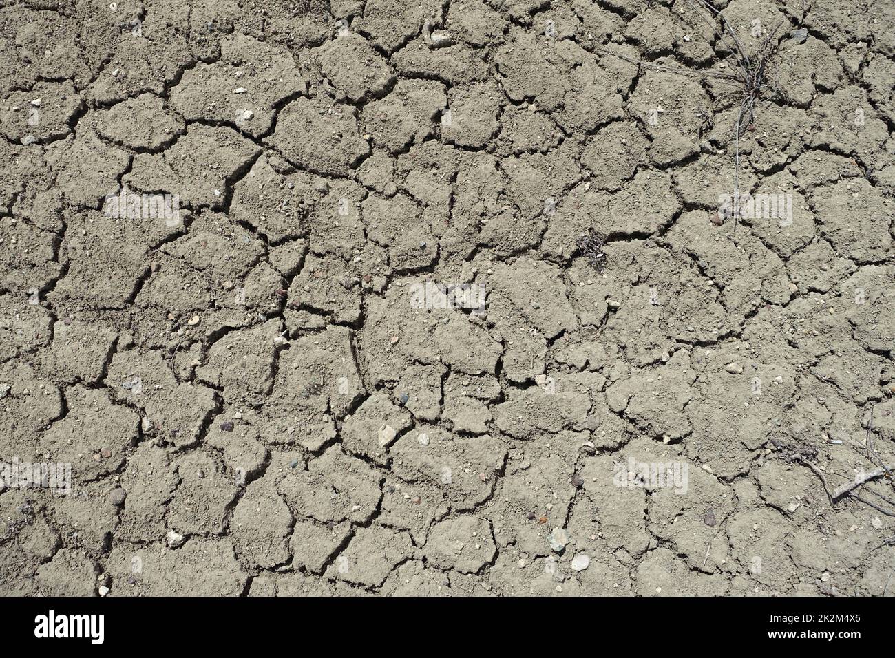 L'érosion causée par la sécheresse et la désertification, la fissuration et la division des sols due à la soif-érosion des sols et à la sécheresse Banque D'Images