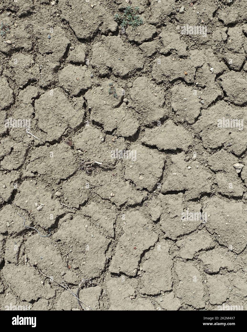Craquage et fractionnement des sols dus à la soif, à la sécheresse dans le monde, aux sols fissurés et fendus Banque D'Images