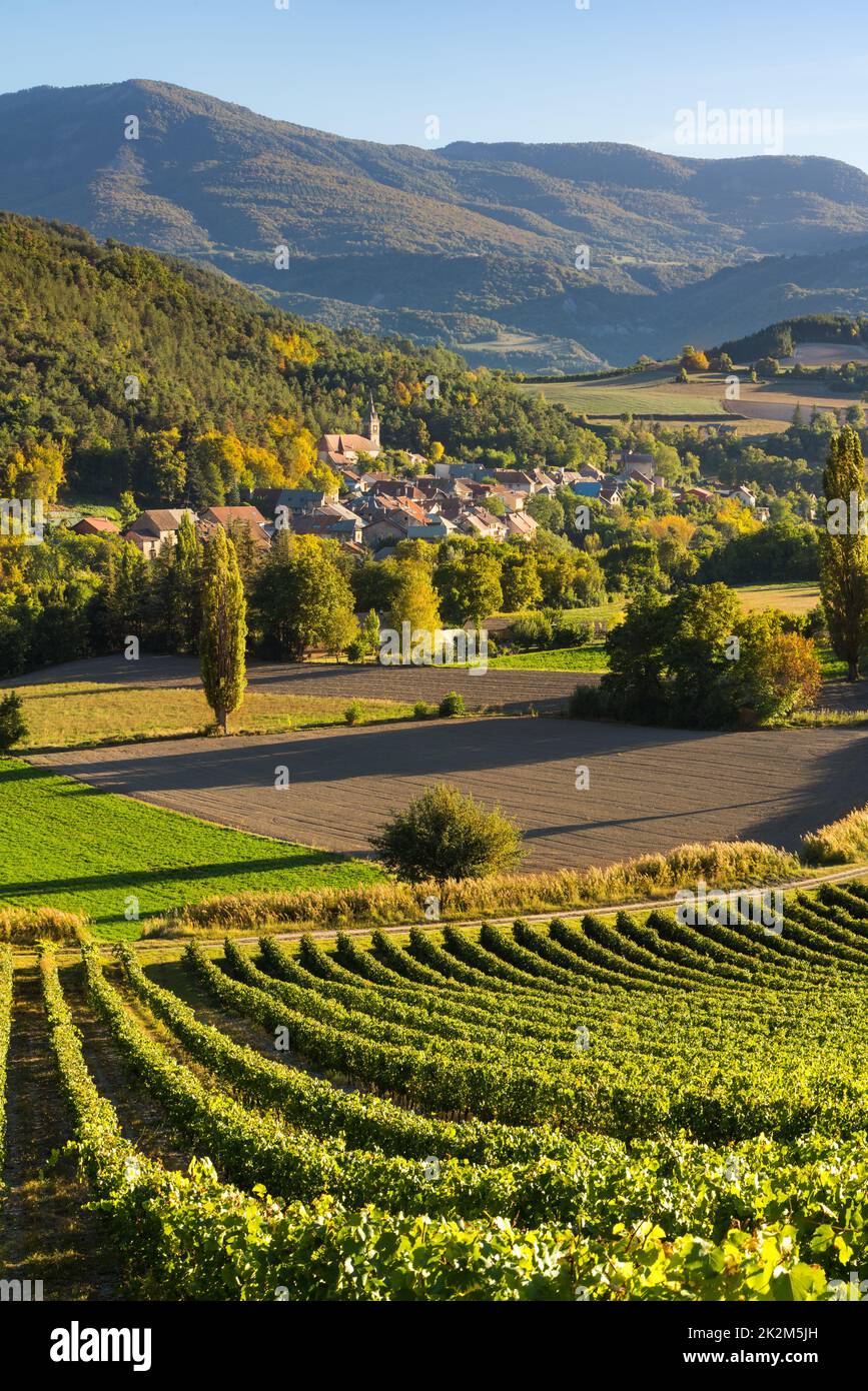 Village de Valserres et vignobles en automne. Cave de vinification et vignes dans les Hautes-Alpes, Alpes, France Banque D'Images