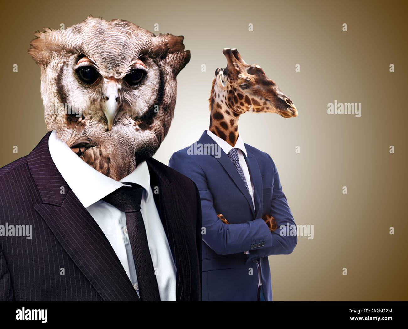 Bienvenue dans la jungle d'entreprise. Image conceptuelle des têtes d'animaux sur les hommes d'affaires. Banque D'Images