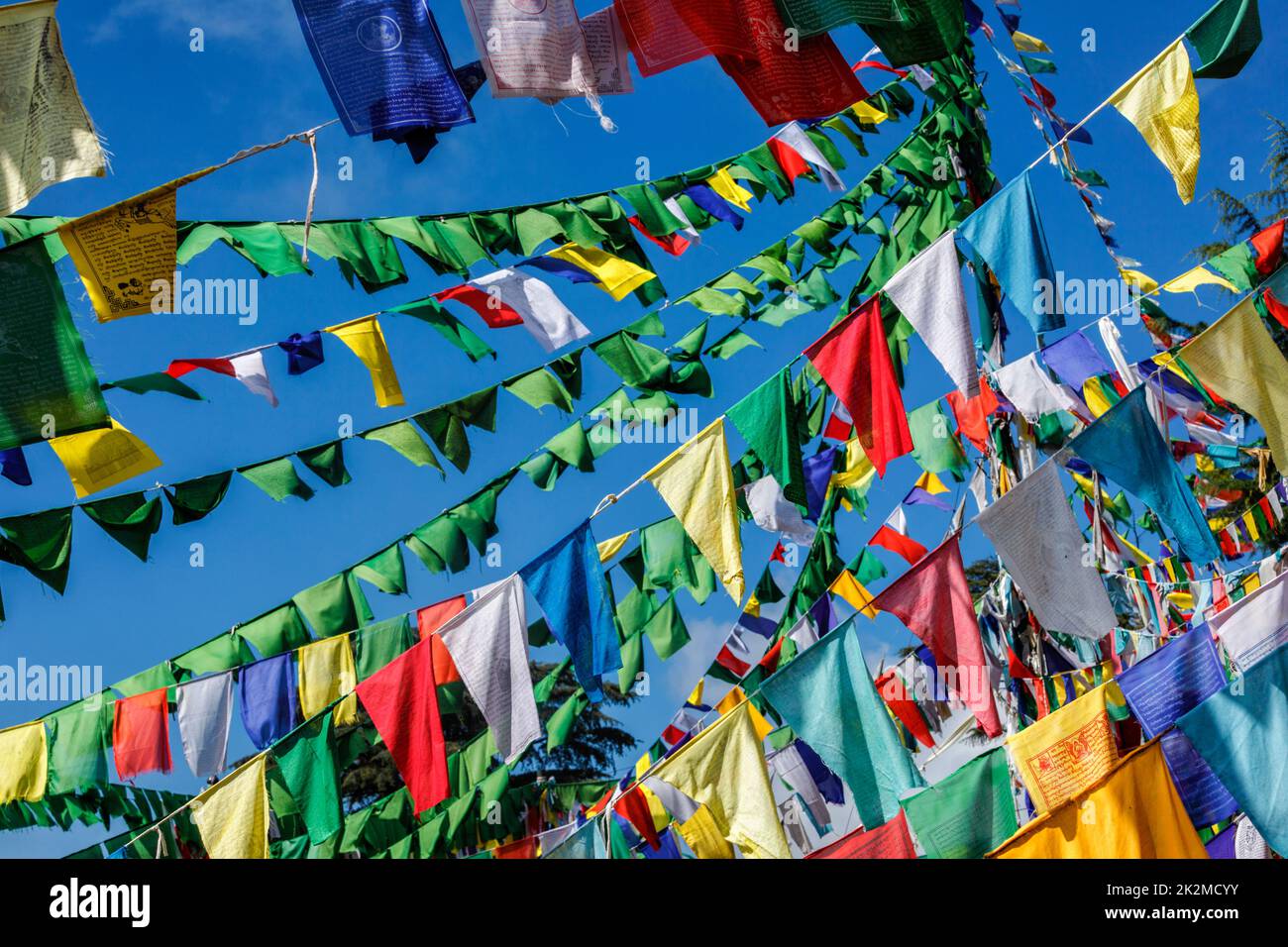 Drapeaux bouddhistes de prière lunga à McLeod Ganj, Himachal Pradesh, Inde Banque D'Images