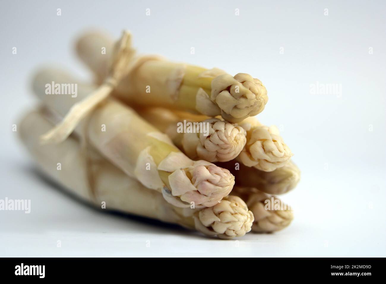 Pointes d’asperges Banque D'Images