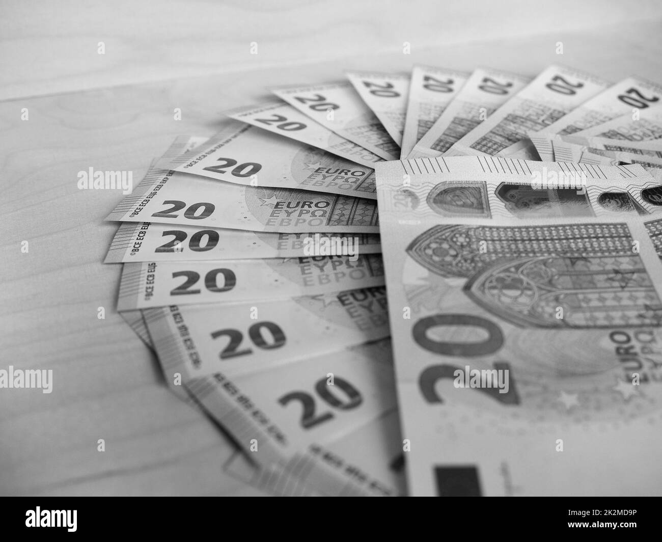 Billets et pièces en euros, Union européenne en noir et blanc Banque D'Images