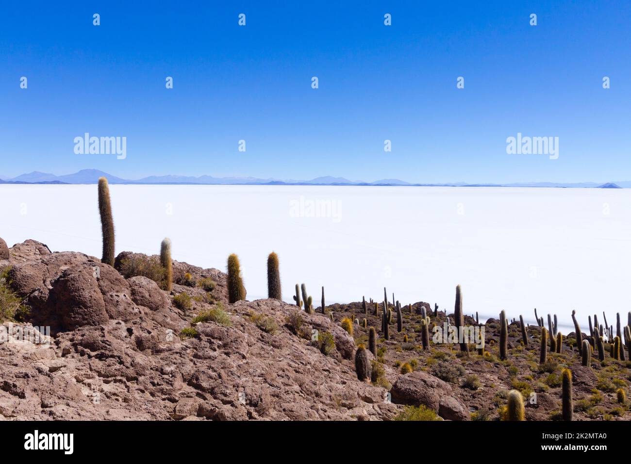Vue sur le salar de Uyuni depuis l'île Incahuasi Banque D'Images