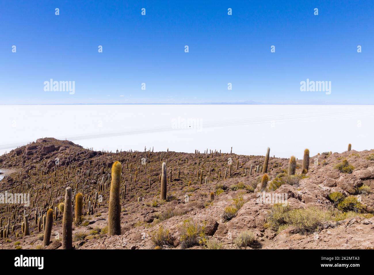 Vue sur le salar de Uyuni depuis l'île Incahuasi Banque D'Images