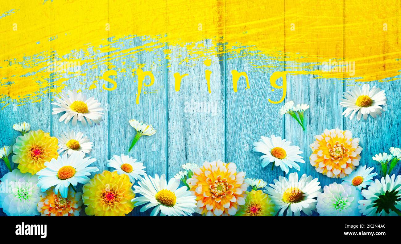 Fleurs et herbes avec le mot ressort. Composition florale créative. Banque D'Images