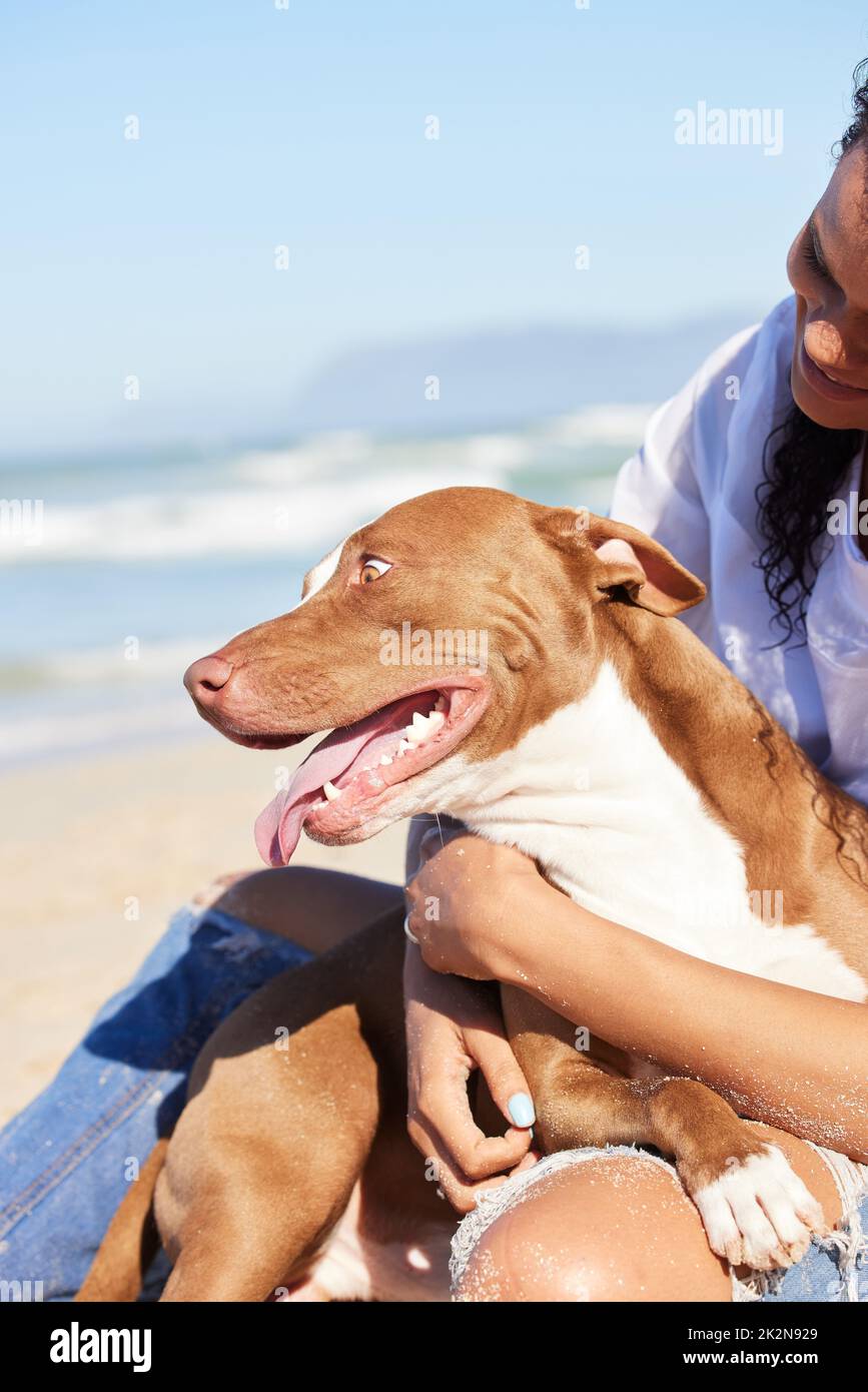 Les chiens heureux sont sur le canin nuageux. Photo d'une femme passant une journée à la plage avec son adorable chien. Banque D'Images