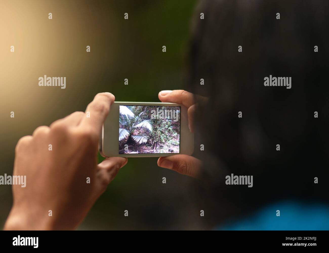La technologie rencontre la nature. Vue arrière d'une personne non identifiable prenant une photo avec un téléphone portable tout en explorant la forêt. Banque D'Images