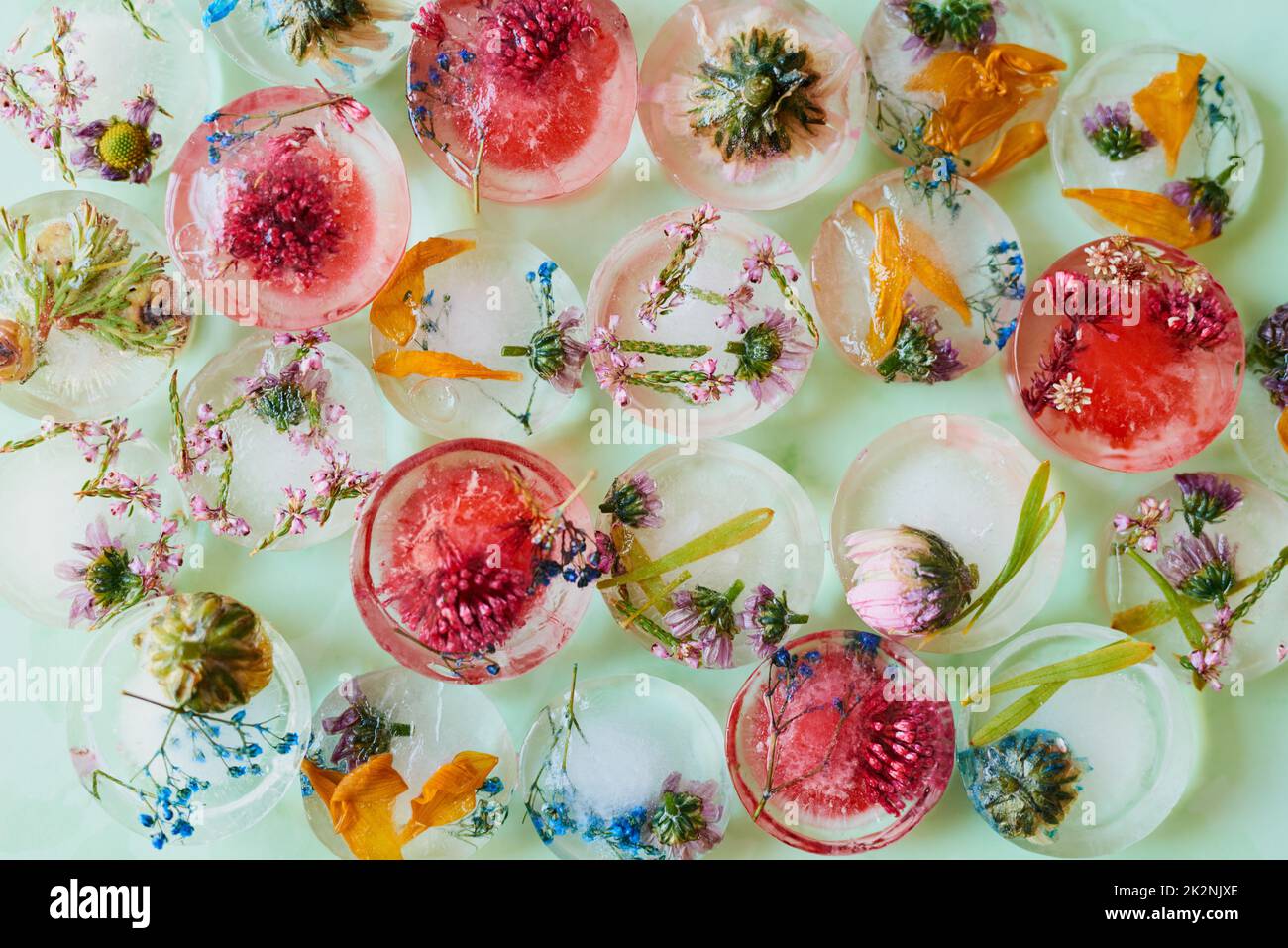 Pour un joli élément sur une table d'été. Photo studio de fleurs congelées dans des blocs de glace. Banque D'Images