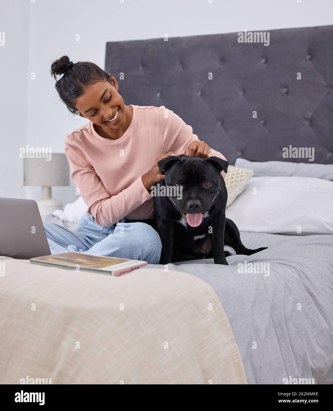 HES un bon garçon. Prise de vue en longueur d'une jeune femme attirante qui pète son chien tout en utilisant son ordinateur portable sur le lit à la maison avec son chien. Banque D'Images