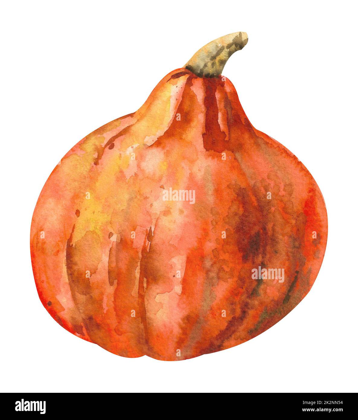 Citrouille aquarelle. Grande citrouille orange avec tige. Banque D'Images