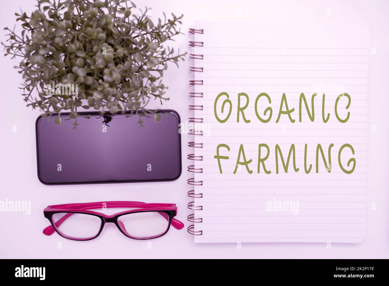 Symbole de texte indiquant Agriculture biologique. Présentation commerciale un système agricole intégré qui s'efforce de garantir la durabilité des fournitures de bureau sur le bureau avec clavier et lunettes et une tasse à café pour travailler Banque D'Images Symbole de texte indiquant Agriculture biologique. Présentation commerciale un système agricole intégré qui s'efforce de garantir la durabilité des fournitures de bureau sur le bureau avec clavier et lunettes et une tasse à café pour travailler Banque D'Images