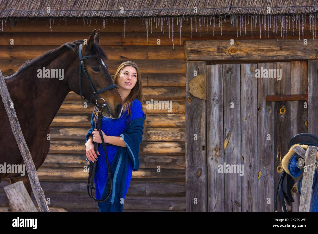 Une belle jeune fille tient un cheval près de la bride, sur le fond d'un mur de rondins Banque D'Images