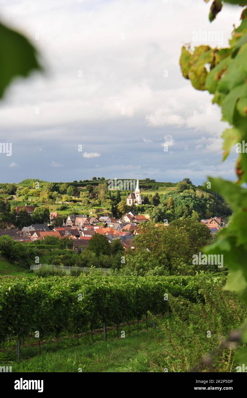 Village viticole de Bahlingen am Kaiserstuhl Banque D'Images