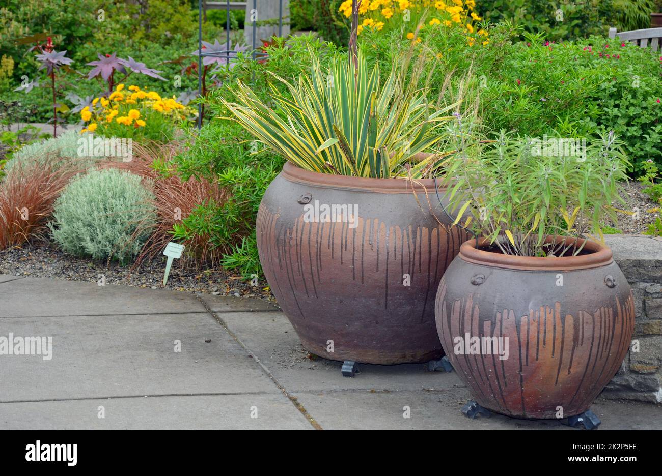 Deux pots de jardin Banque D'Images
