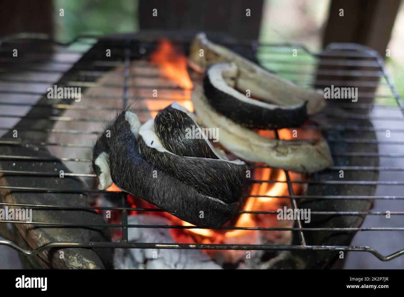 Griller une tranche de buff de buffle sur un feu de charbon de bois ouvert Banque D'Images