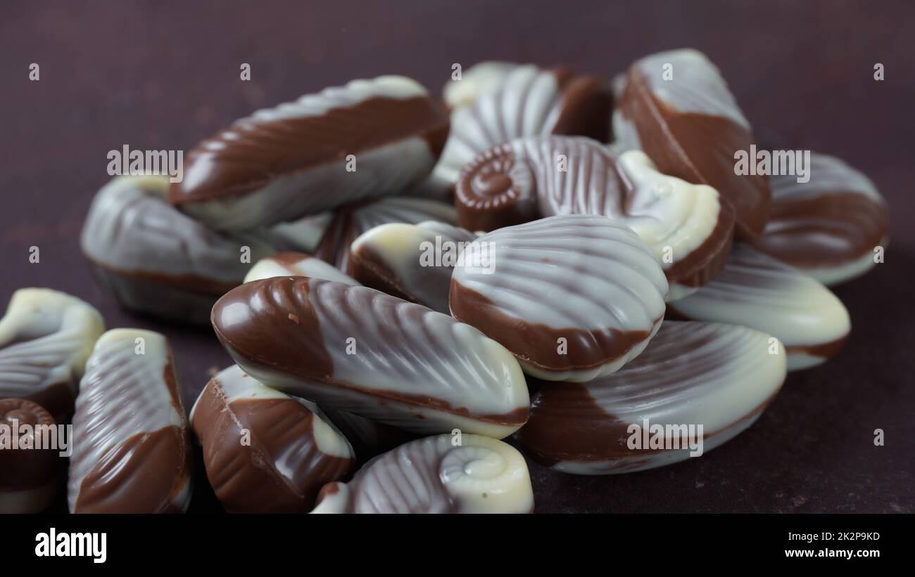 Bonbons au chocolat traditionnels aux coquillages belges. Bonbons au chocolat au lait belge en forme de coquillages avec palourdes, hippocampes Banque D'Images